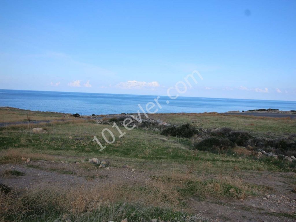 8 DONUM 100 METERS FROM THE SEA ESENTEPE