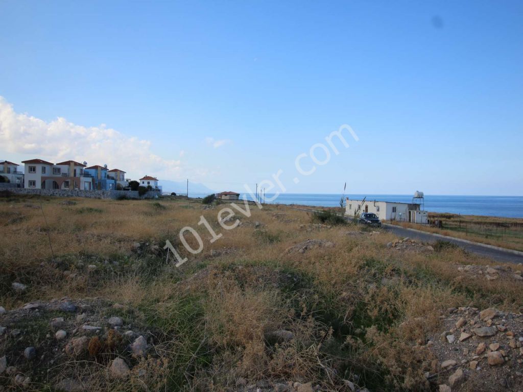 8 DONUM 100 METERS FROM THE SEA ESENTEPE