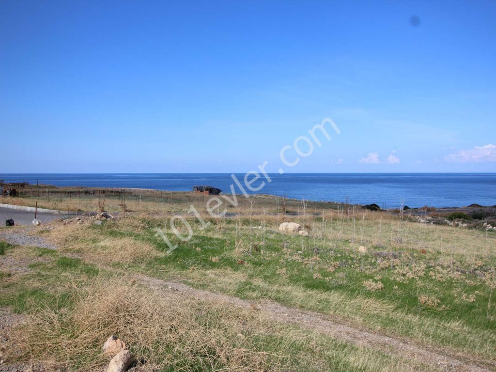 8 DONUM 100 METERS FROM THE SEA ESENTEPE