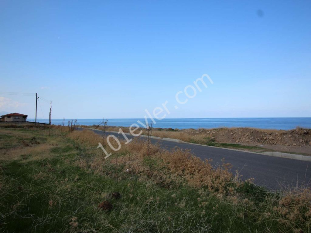 8 DONUM 100 METERS FROM THE SEA ESENTEPE