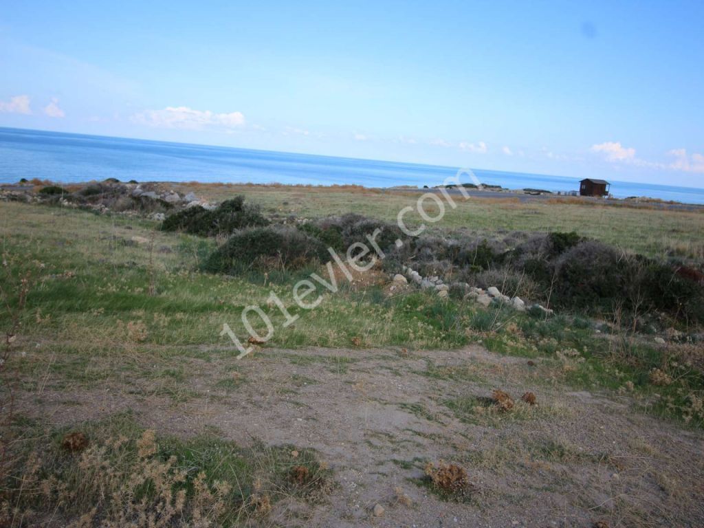 8 DONUM 100 METERS FROM THE SEA ESENTEPE