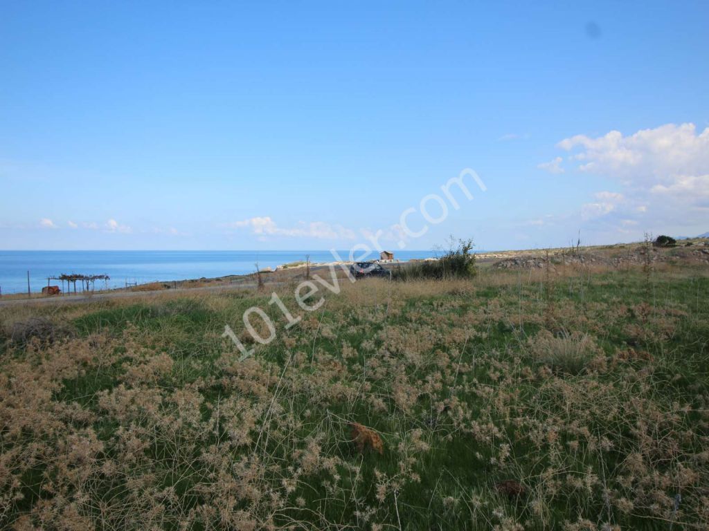 8 DONUM 100 METERS FROM THE SEA ESENTEPE