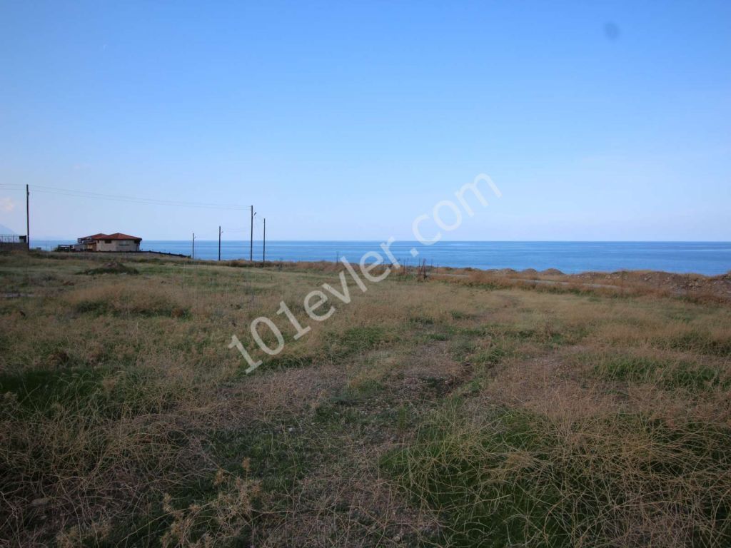 8 DONUM 100 METERS FROM THE SEA ESENTEPE