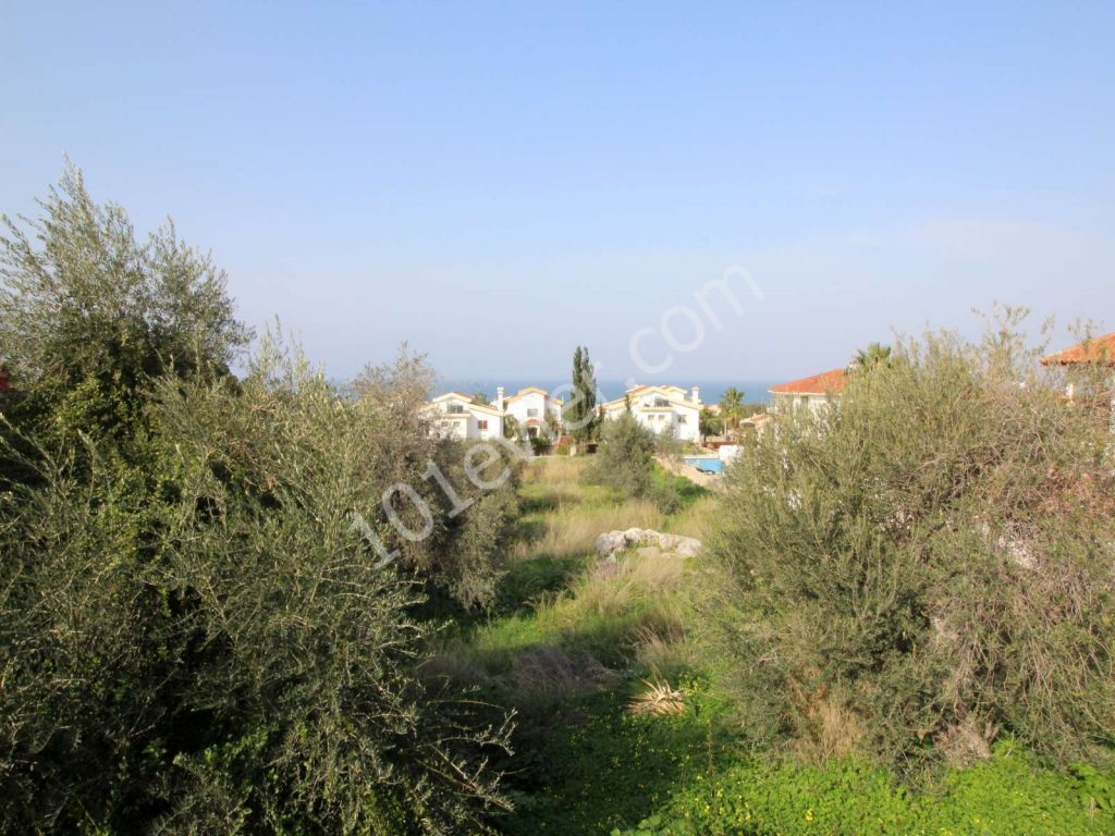 خانه ییلاقی برای فروش in Çatalköy, گیرنه