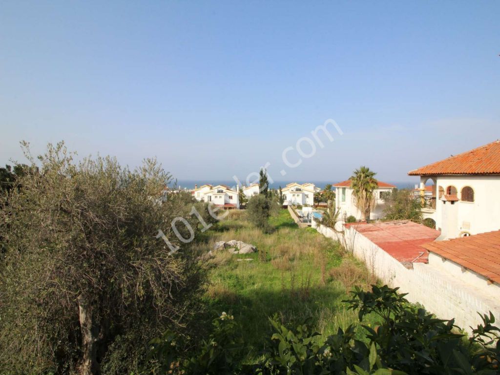 TRADITIONAL CYPRIOT 2 BEDROOM BUNGALOW