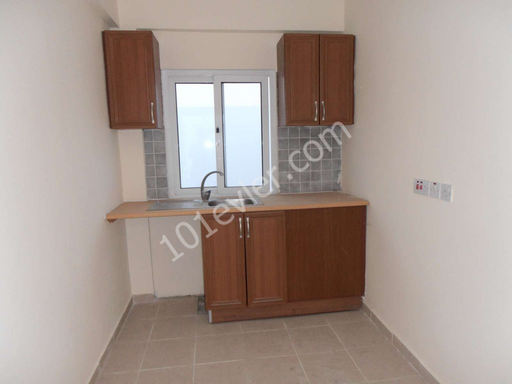 1+1 bedroom apartment