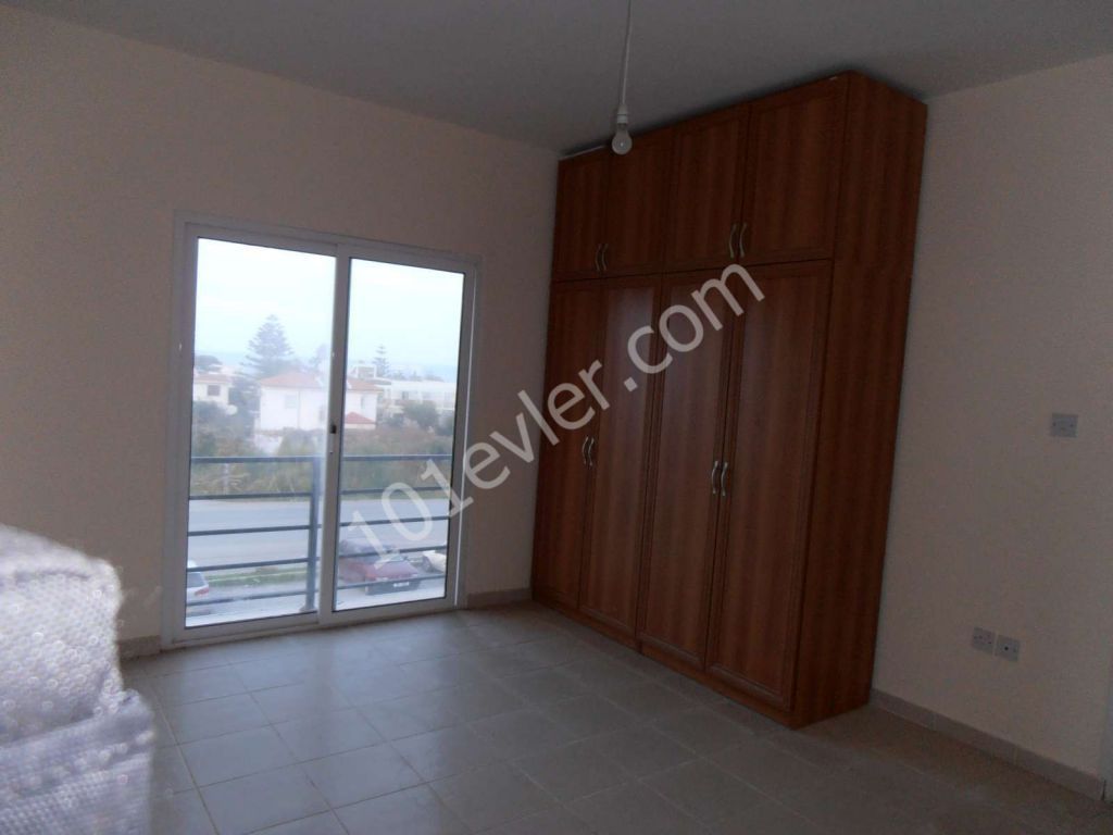 1+1 bedroom apartment