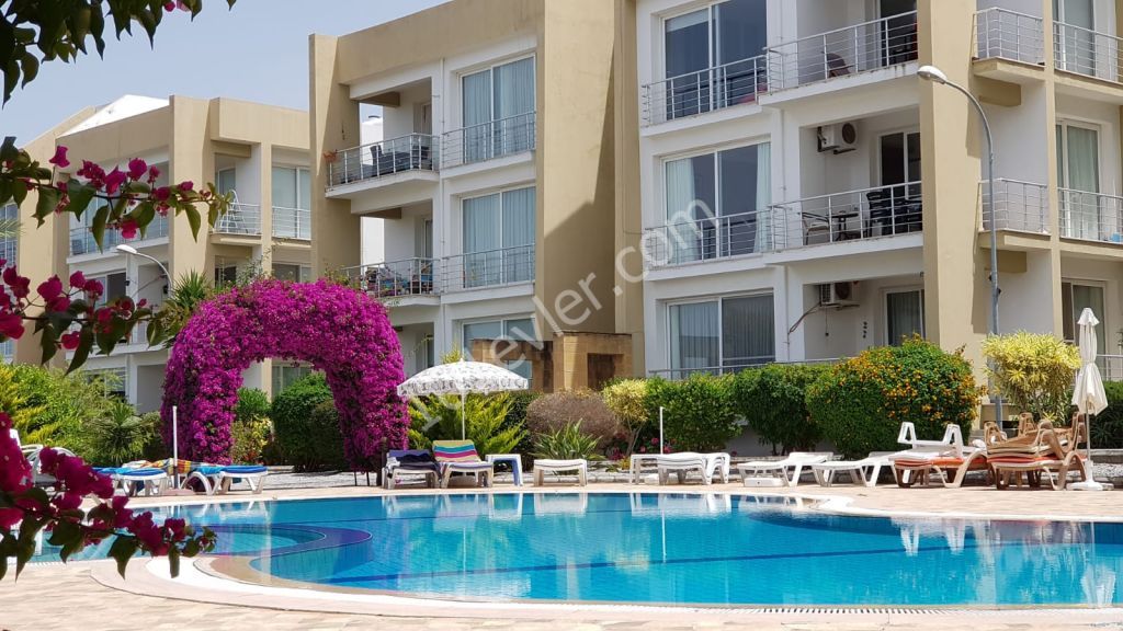 Girne Alsancakta Havuzlu sitede 3+1, full eşyalı, 500 stg kiracısı ile birlikte.