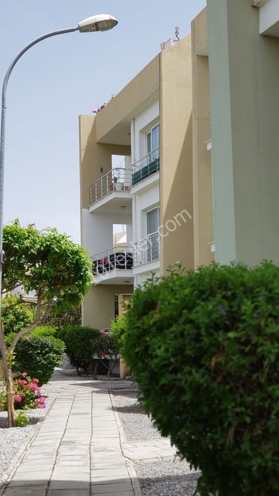 Girne Alsancakta Havuzlu sitede 3+1, full eşyalı, 500 stg kiracısı ile birlikte.