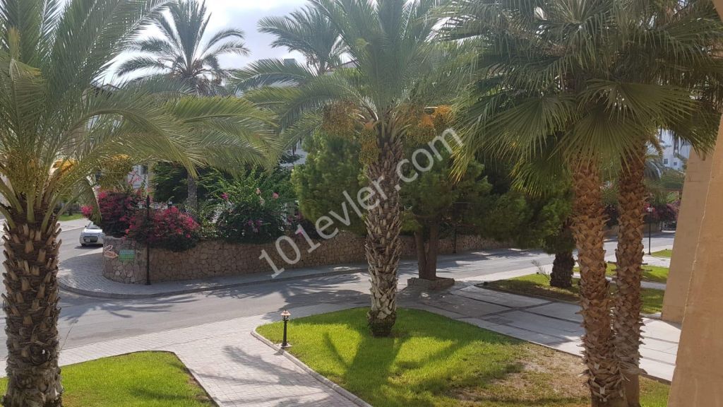 Girne Kıbrıs  havuzlu sitede lüks 1+1 Kiralık, full eşyalar..310 TL  aidat  DAHİL