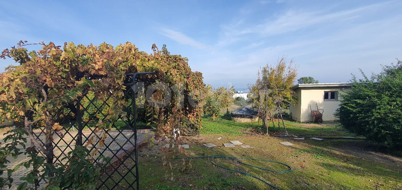 950m2 with magnificent mountain and sea views in Çatalköy. this magnificent villa with 5 bedrooms and a swimming pool in 3.5 acres of land, the view of which is never closed ** 