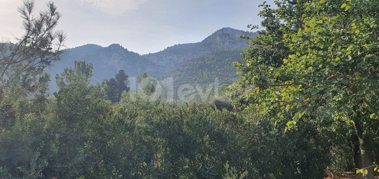 Çatalköy'de muhteşem dağ ve deniz manzaralı 950m2 kullanım alanı ile 6 yatak odalı,ayrı misafir ağırlama evi(1+1) 3.5 dönüm arazi si içinde yüzme havuzlu olup manzarası hiç kapanmayan bu muhteşem villa