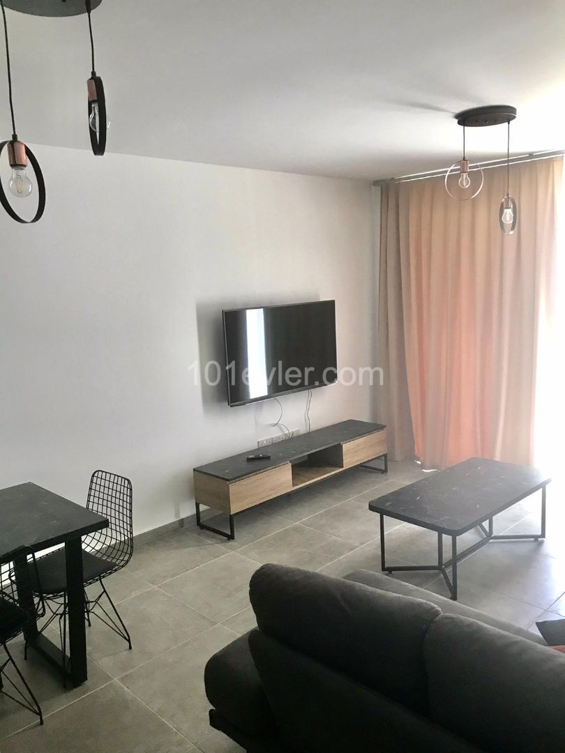 African Student well comr.1+1 residans flat, fully furnished  6 monthly rent near by New Nusmar market , new modern 