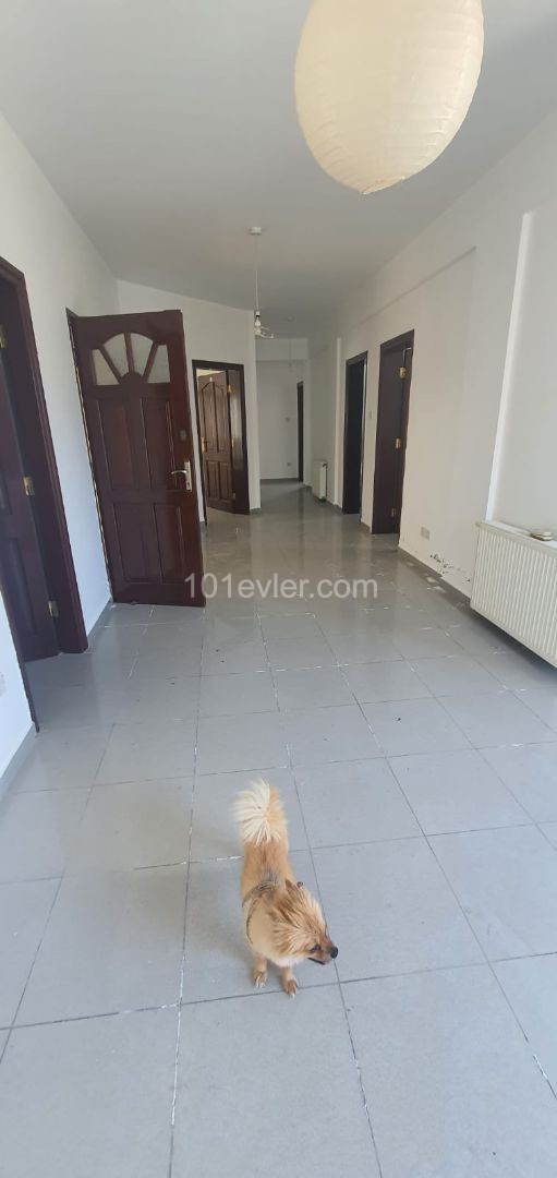 Kyrenia City center, whole bulding 15 rooms, big car park area, for rent.