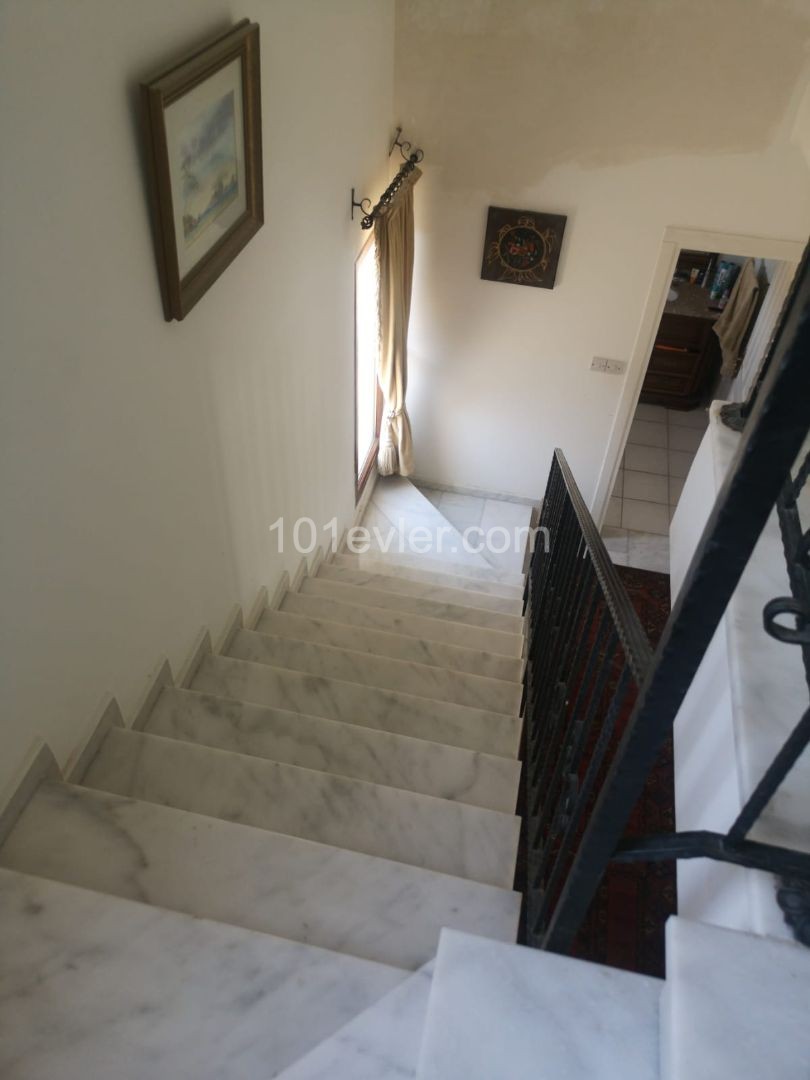 Dayly rent  villa in Esentepe, price can be change for paties and people amount.