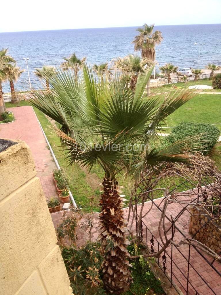 Oposit Les Ambasadir Platin Apartments ( sea frint) 3 bedroom furnished