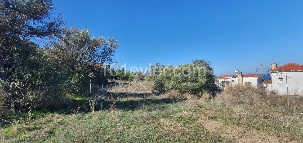 Girne Bellapais (ozanköy land) (Location is stated in the Ad) Right of way. SEA &amp; MOUNTAIN view.... Turkish Title Deed (planning approved) ** 