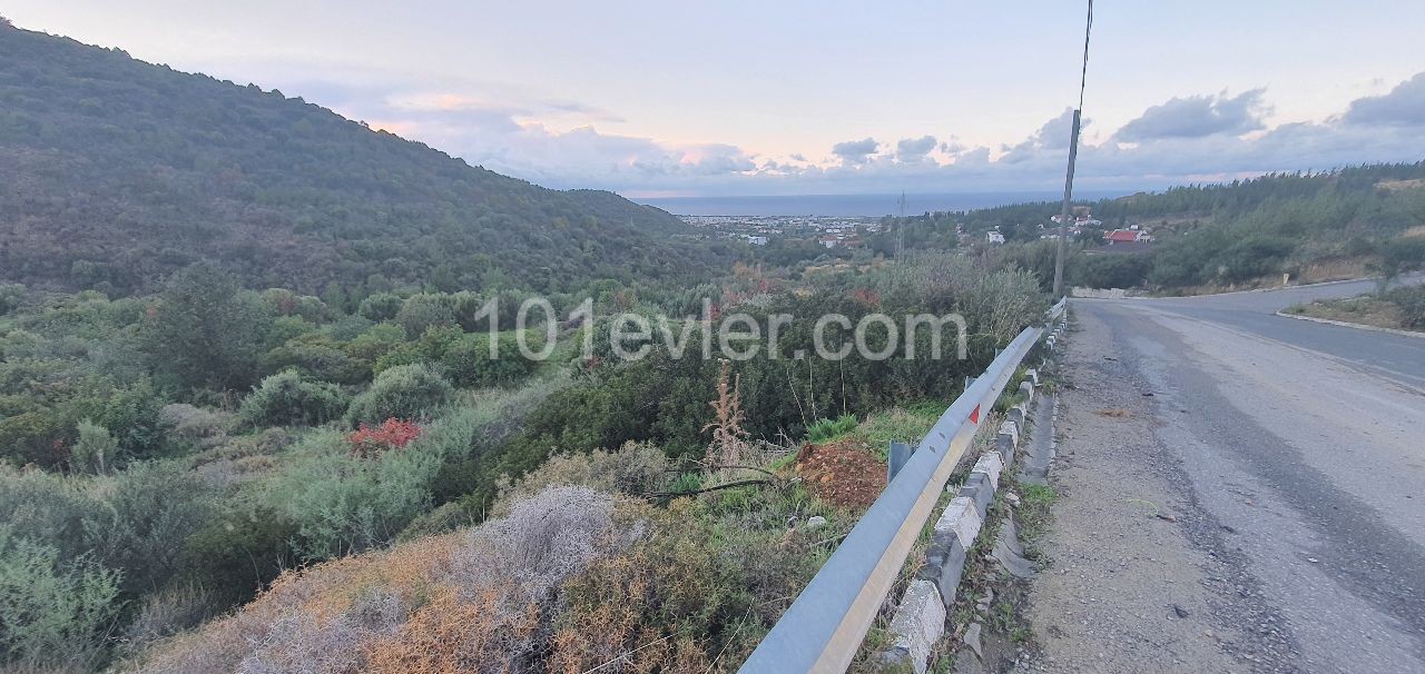 On the way to Girne Ilgaz, a 7.5-dimenum villa land with superb mountain and sea view, right on the road ** 