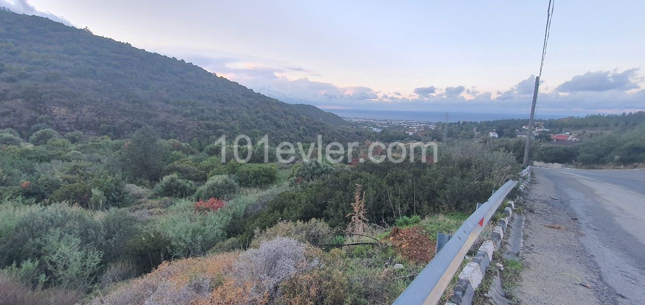 On the way to Girne Ilgaz, a 7.5-dimenum villa land with superb mountain and sea view, right on the road ** 