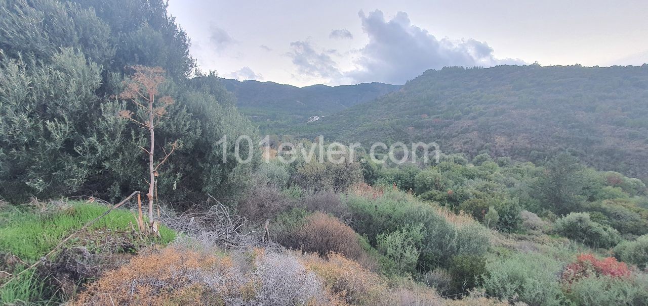 On the way to Girne Ilgaz, a 7.5-dimenum villa land with superb mountain and sea view, right on the road ** 