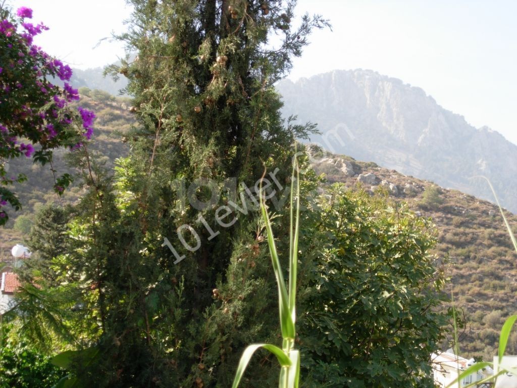 روستای لاپتا, ساختمان تاریخی, 2 خوابه تخت, مبله ** 