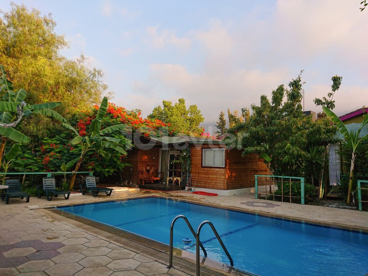 4+1 Stone Cypriot Gouse with saouna,2000m2 garden ,pool and guest detach house...Yeşiltepe area. NO tax require.