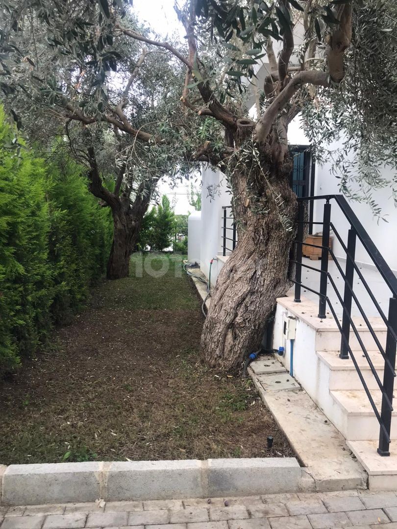 Kyrenia Edremit 3+1 600 m2 mit Garten, alle Steuern bezahlt. (unmöbliert)