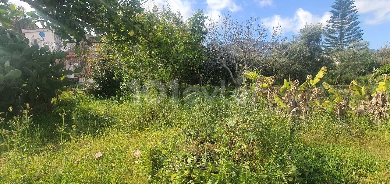 Kyrenia Ozankoy, 4+1 Bangalow, 1000m2 Garten, Wasser gut und Obstbäume. . . 