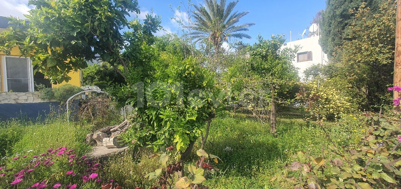 Kyrenia Ozankoy, 4+1 Bangalow, 1000m2 Garten, Wasser gut und Obstbäume. . . 