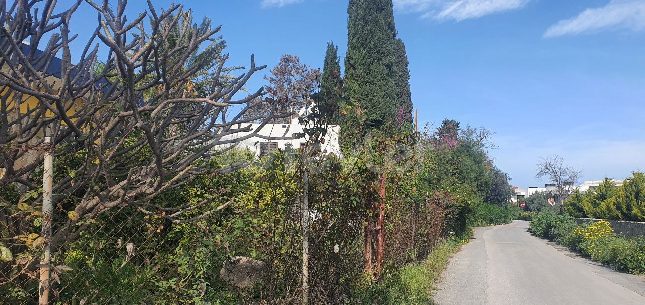 Kyrenia Ozankoy, 4+1 Bangalow, 1000m2 garden, water well and fruit trees. . . 