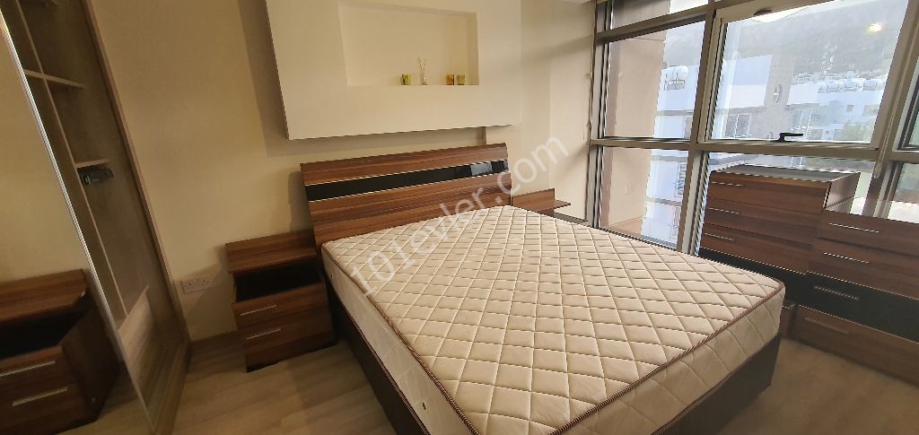 1+1 residans flat, fully furnished  monthly rent near by water raundabound or Barış Park( new modern sofa , 55 inch TV latest model.