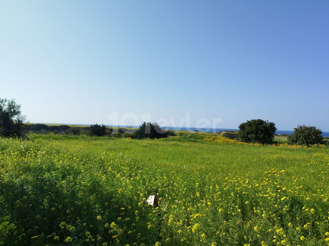 Tatlısu Denize Yürüme Mesafesinde Satılık Arsa