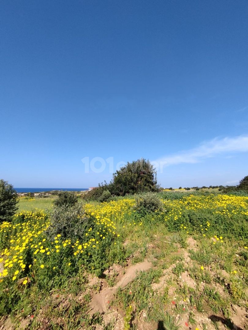 Land for Sale in Tatlisu Walking Distance to the Sea