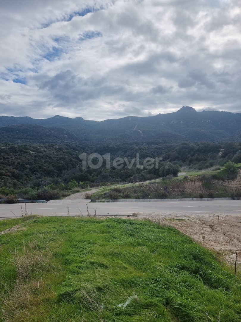 LAND FOR SALE suitable for the construction of seafront villas from the sea to the seaside in ISKELE Kaplıcada 