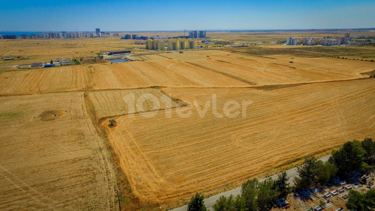 9 acres of land for sale at the pier from the sea