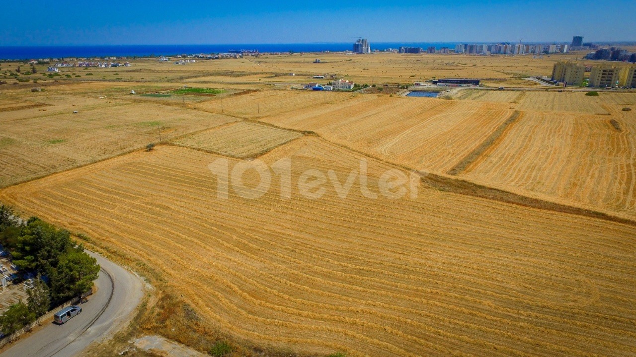 9 acres of land for sale at the pier from the sea