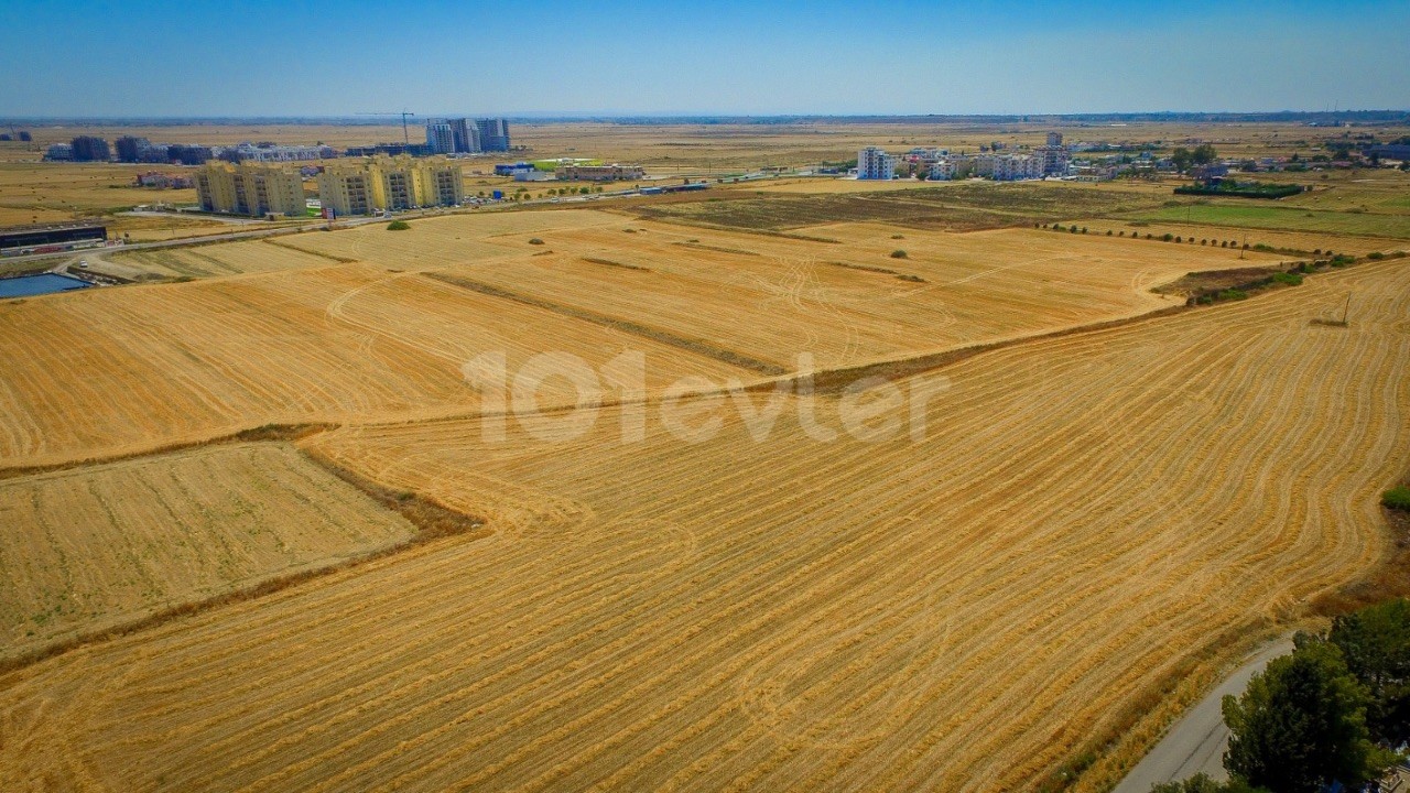 9 acres of land for sale at the pier from the sea