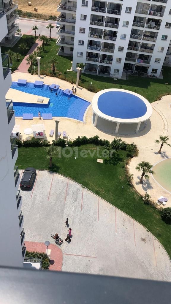 1+1 furnished apartment for sale with sea view in Caeser sea view from the sea to the pier 