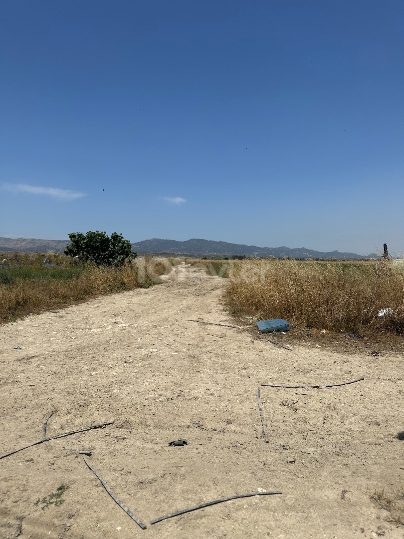 28 Hektar Land am Seepier zum Verkauf