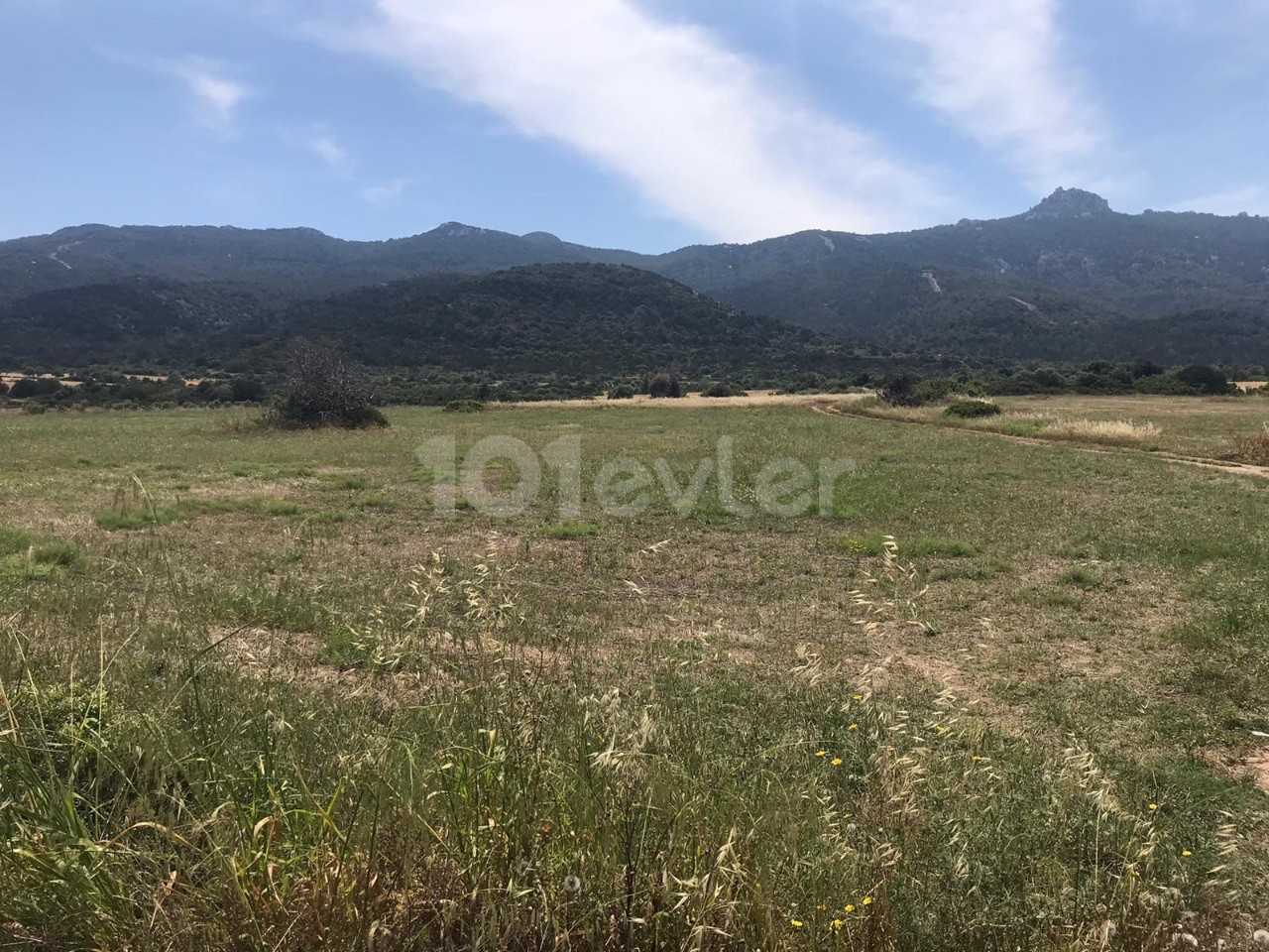 LAND FOR SALE 14.5 acres with sea view in İSKELE SPA FROM THE SEA