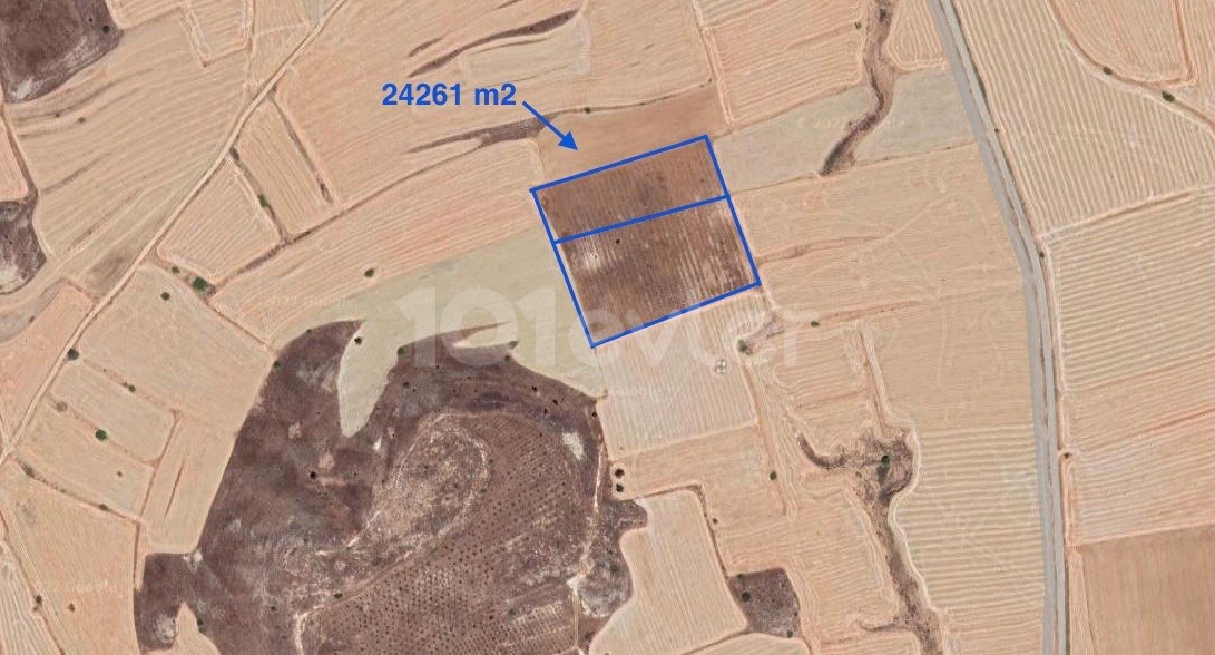 6 acre field for sale near Sınırüstü, İskele with 900 almond trees