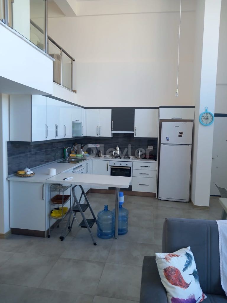 3+1 loft apartment in Alsancak