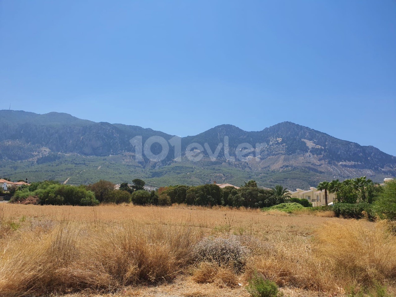 Girne Lapta |Satılık 2676m2 Arazi | Denize 230 mt Mesafede