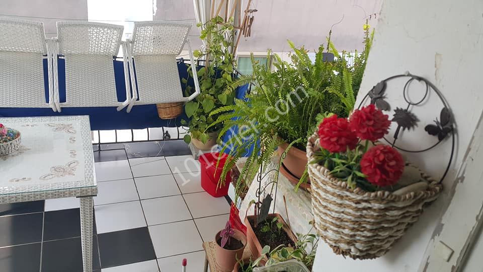 تخت برای فروش in Gönyeli, نیکوزیا