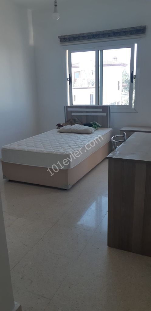 Flat To Rent in Hamitköy, Nicosia