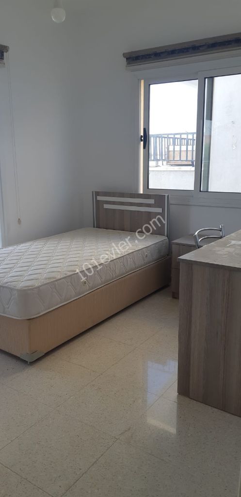 Flat To Rent in Hamitköy, Nicosia