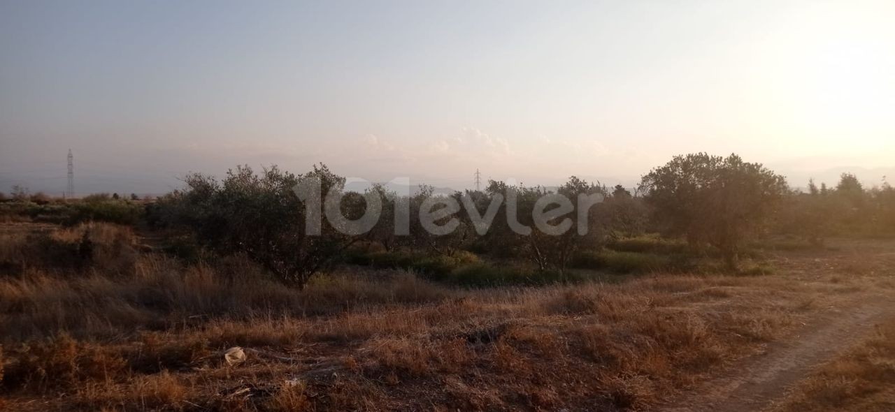 Güzelyurt Aydınköy Bölgesinde Yatırımlık Arazi