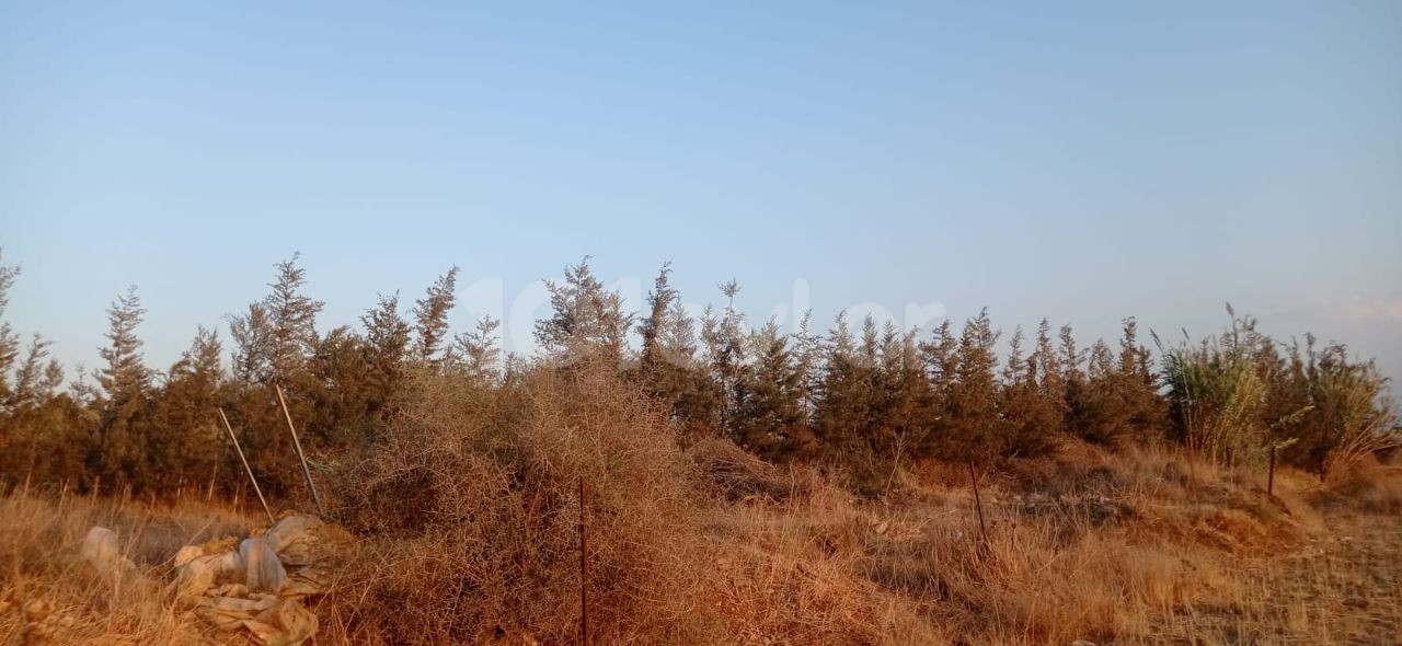 Investment Land in Güzelyurt Aydınköy Region