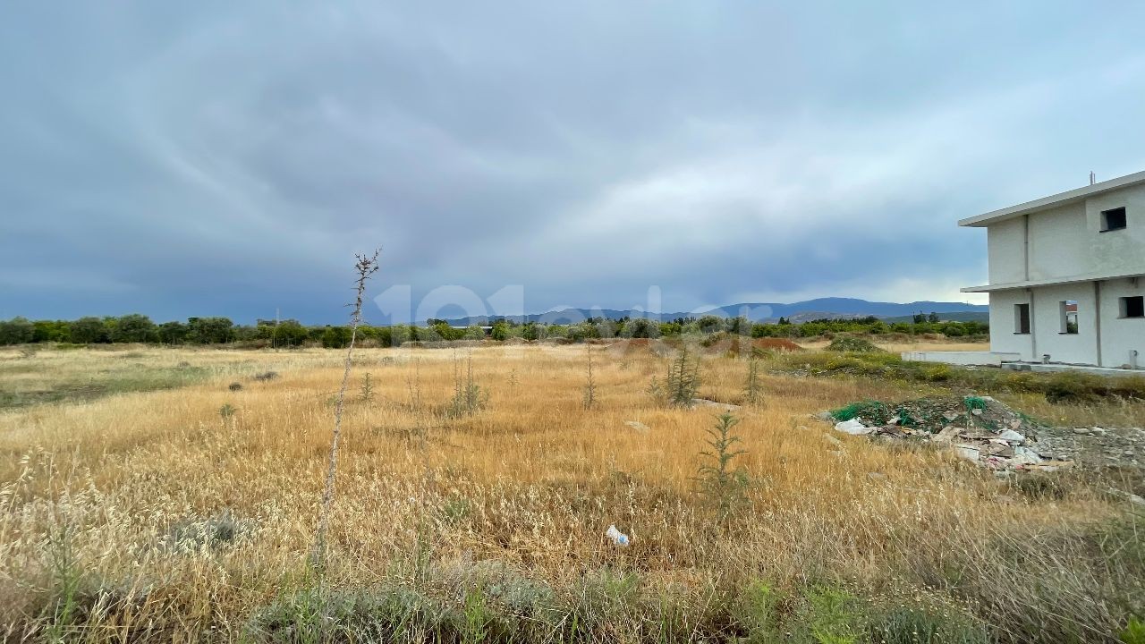 GRUNDSTÜCK GEEIGNET FÜR VILLENBAU IN DER NÄHE DER HAUPTSTRASSE VON GÜZELYURT-LEFKOŞA IN DER REGION LEFKE DOĞANCI