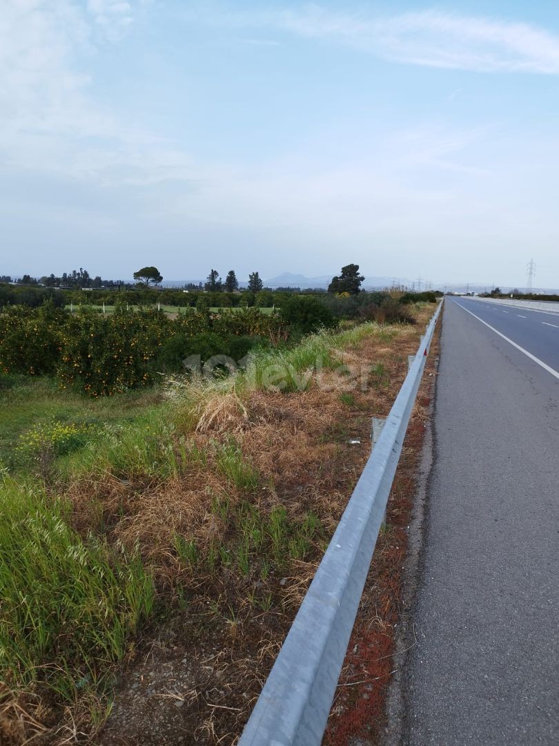 LAND DER MÖGLICHKEITEN AUF DER LEFKE AUTOBAHN GUZELYURT